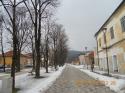 Opižovanie líp na námestí 19.-22.2.2013 Opižovanie líp na námestí 19.-22.2.2013