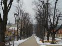 Opižovanie líp na námestí 19.-22.2.2013 Opižovanie líp na námestí 19.-22.2.2013