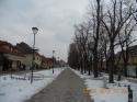 Opižovanie líp na námestí 19.-22.2.2013 Opižovanie líp na námestí 19.-22.2.2013